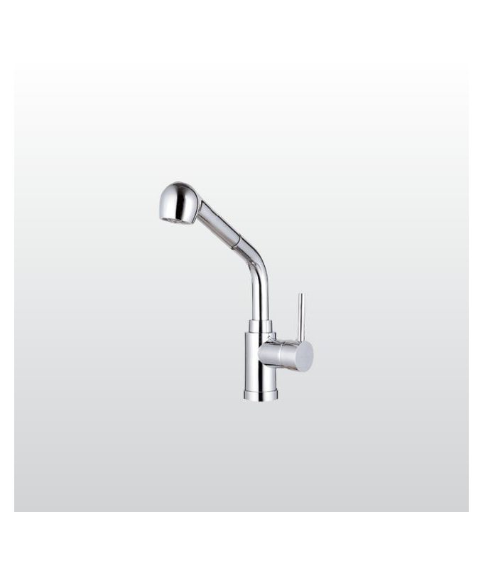 Vòi rửa bát Malloca K119T9